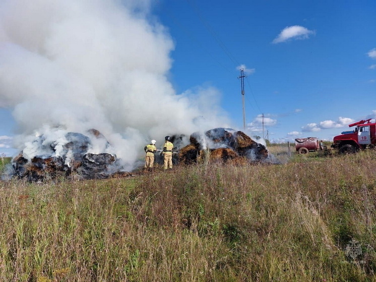 200 квадратных метров сена сгорело в Параньгинском районе