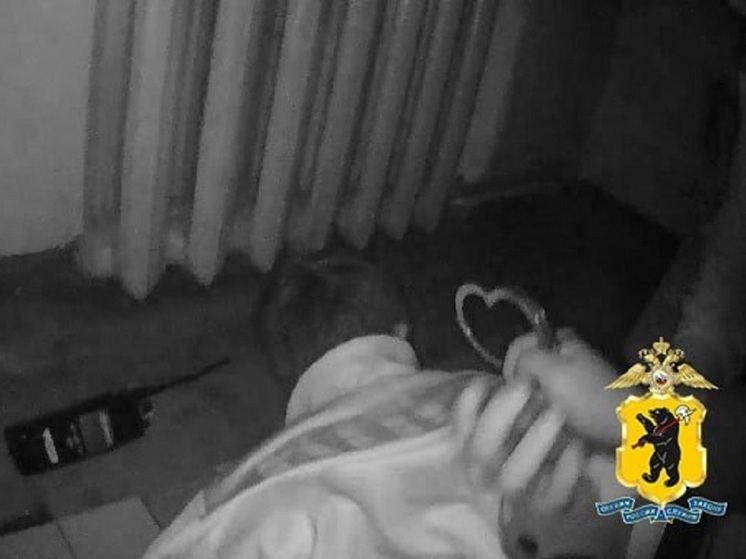 В Ярославле мужчина ответит за то, что бросил страйкбольную гранату в полицейского