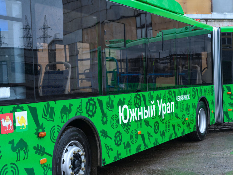 Челябинские автобусы призывают горожан заниматься самбо