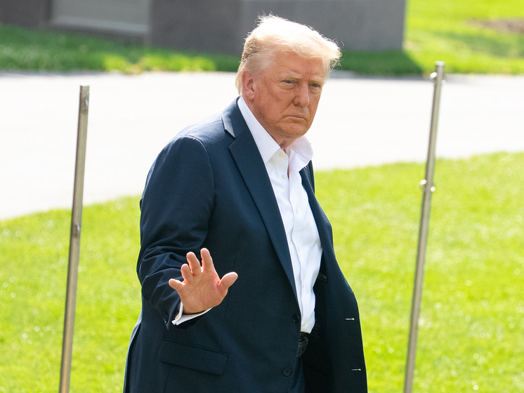 Политолог Мамычев объяснил, по какой причине Трамп не любит страны Европы