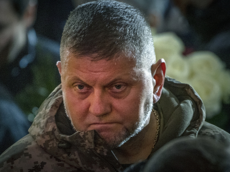 Эксперт Жарихин объяснил, как Залужный может стать президентом