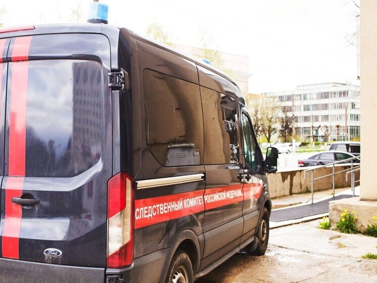 По факту гибели мужчины на пожаре в Тверской области проводят проверку