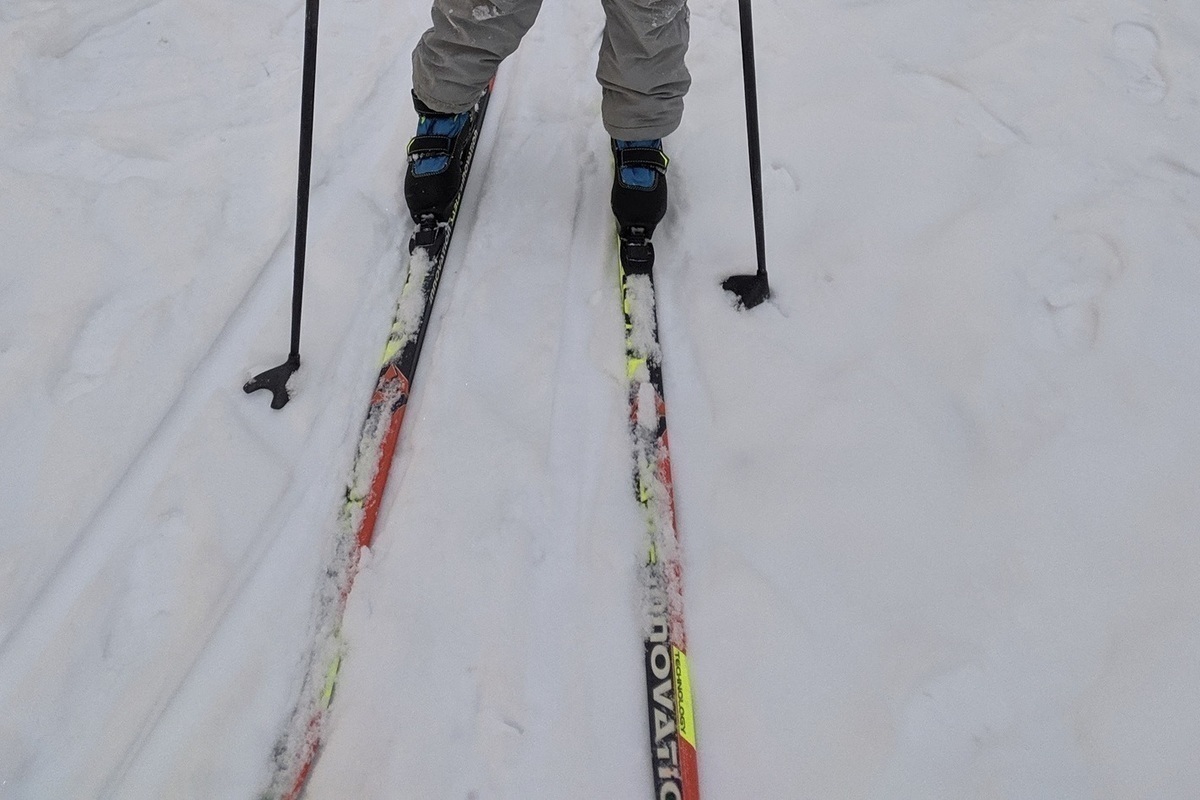 ФЛГР рассмотрит нападение главы воронежской федерации на подростка