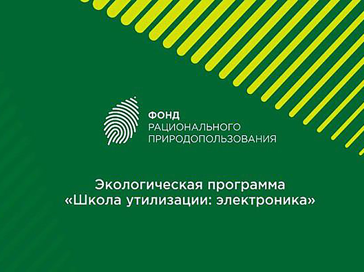 Жителям Серпухова рассказали о программе «Школа утилизации: электроника»
