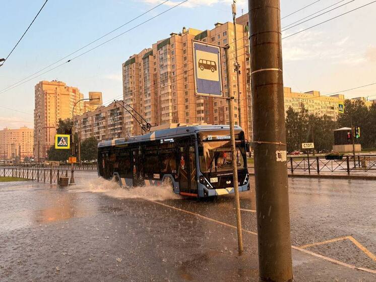Петербургским школьникам хотят сделать легальный проезд «зайцем»