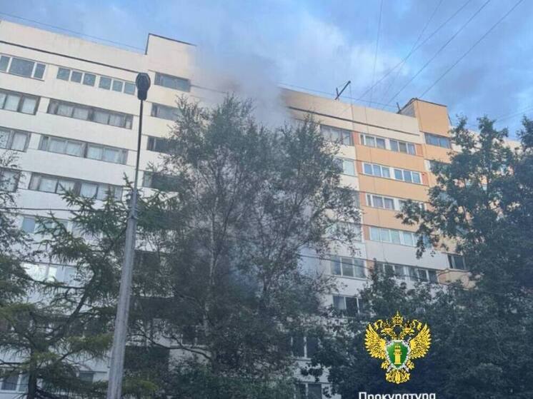 В квартирном пожаре на улице Стойкости погиб мужчина
