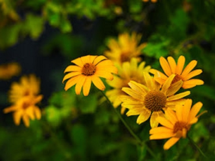 В Астраханской области 27 августа обещают ясную погоду и до +29 ℃