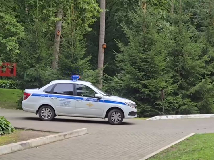 За неделю в ДТП погибли 3 калининградца
