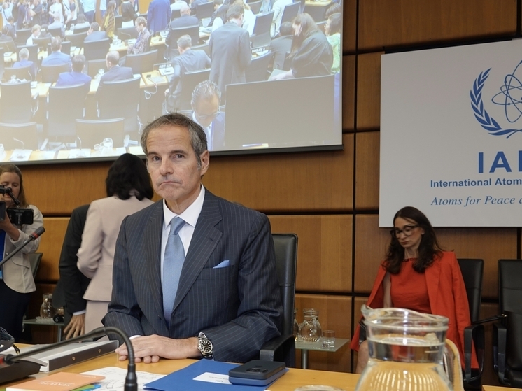 WSJ: элитное подразделение Австрии взяло под охрану Гросси из-за иранских угроз