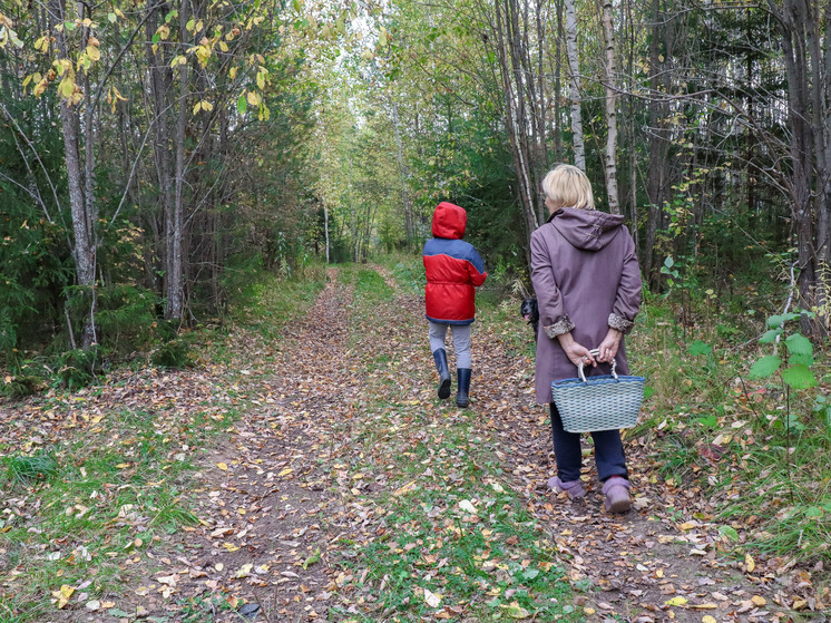 Спасатели Подмосковья рассказали, как не потеряться в лесу