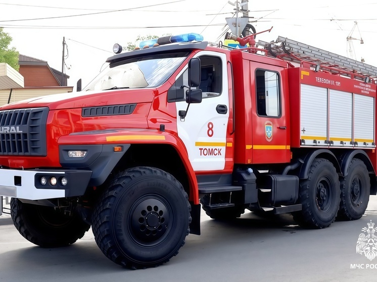 За минувшие сутки в Томской области потушили два пожара