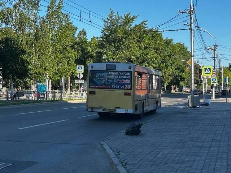 Девушка-подросток из Барнаула рассказала о домогательствах в автобусе №20