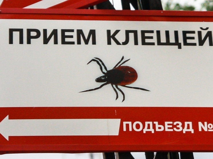 В Карелии 7 детей было укушено клещами за последнюю неделю