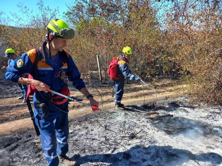 Природный пожар в Симферопольском районе ликвидирован