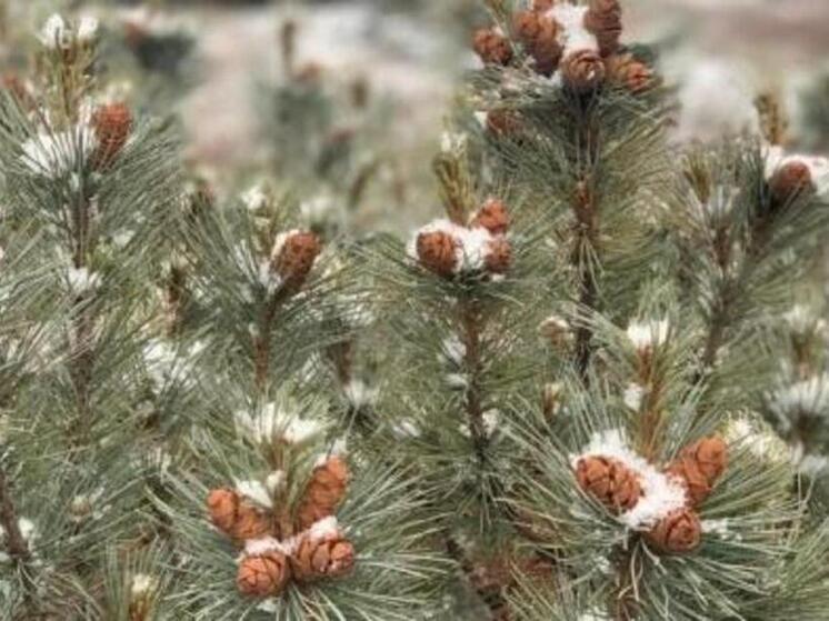 В среду на севере округа возможны дожди со снегом