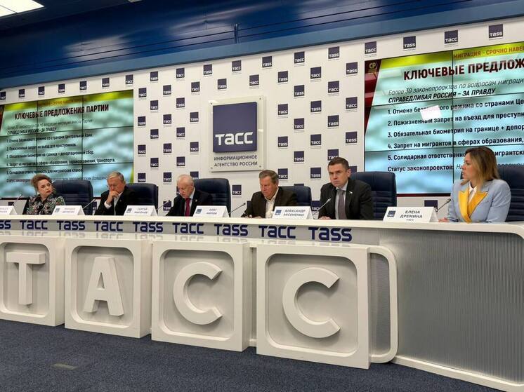 Справедливороссы запустили федеральный проект по борьбе с нелегальной миграцией
