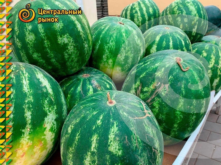 Секреты идеального арбуза: советы для покупателей Новомосковского рынка