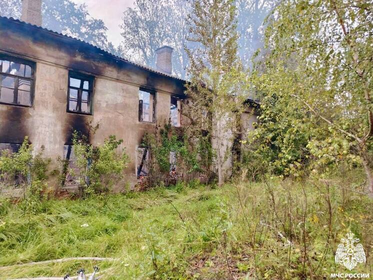 Мужчина погиб при пожаре в опочецкой деревне