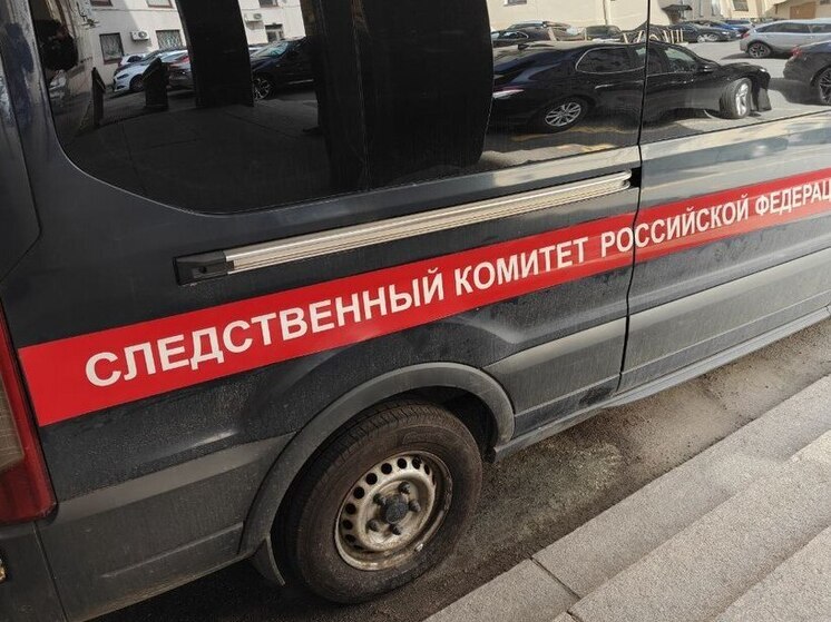 Бастрыкин заинтересовался историей с погибшим при пожаре на улице Стойкости