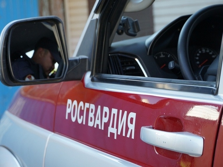 В Улан-Удэ сотрудники Росгвардии задержали сырного вора