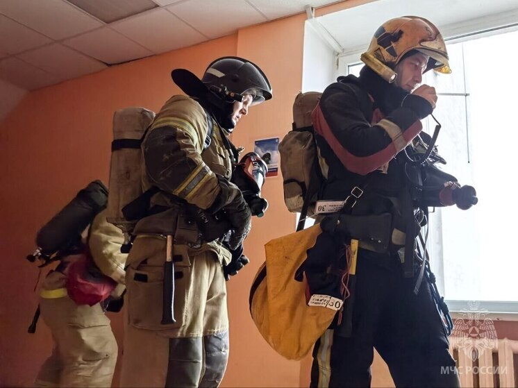 За сутки 26 августа в Марий Эл произошло два пожара