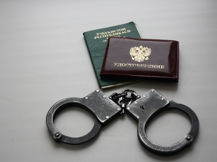Приставы Самарской области с начала года отправили на родину 384 иностранца