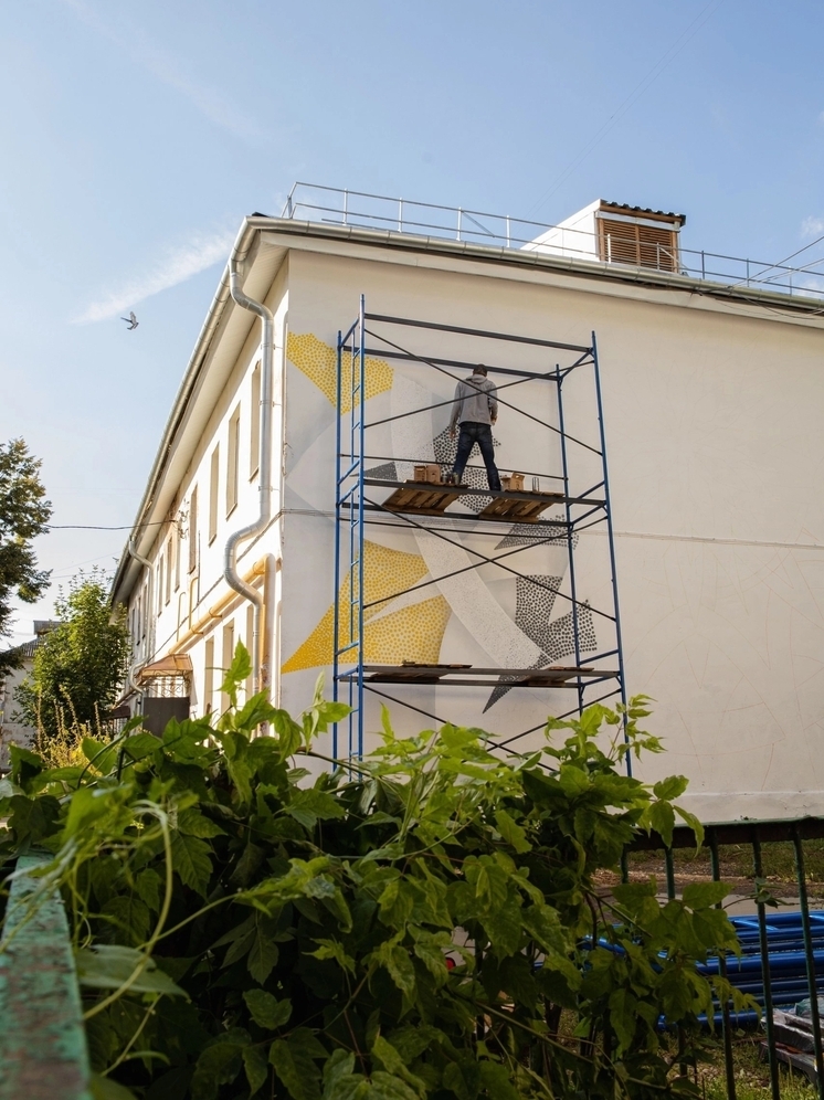 Владимирские двухэтажки украсили огромными картинами
