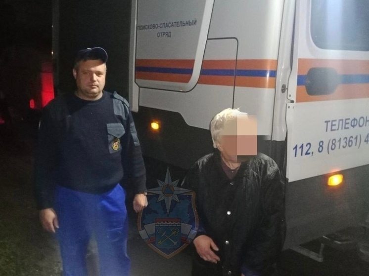 В Гатчинском районе спасатели нашли потерявшуюся в лесу пожилую женщину