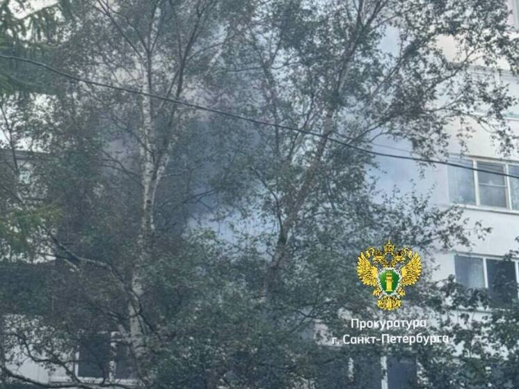 35-летнего петербуржца взрывом выбросило под окна дома на улице Стойкости