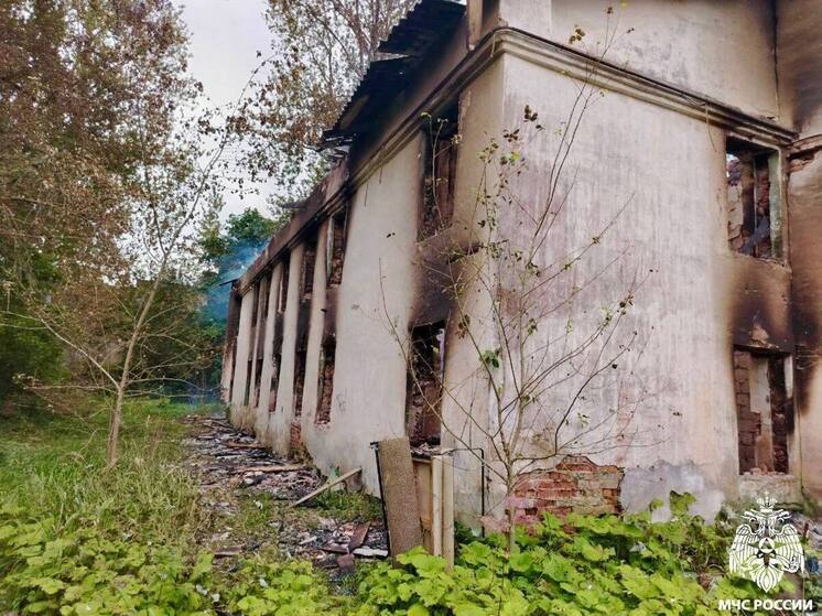 Неосторожное обращение с огнем стало причиной пожара в Гдове