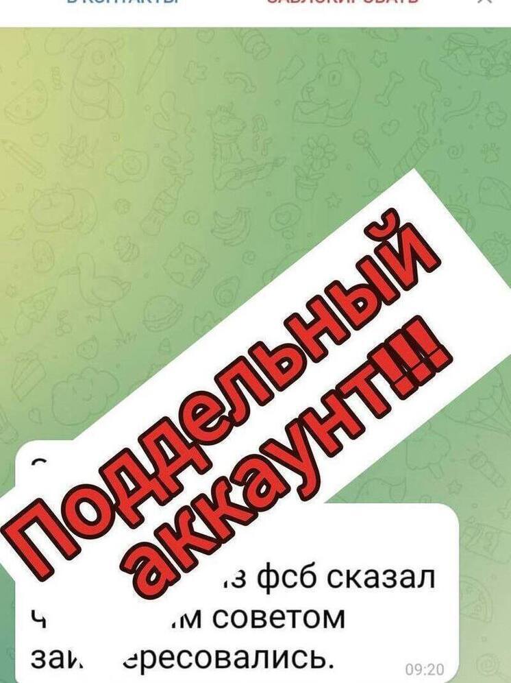 Аккаунт вице-спикера липецкого горсовета Светланы Бессоновой взломали мошенники