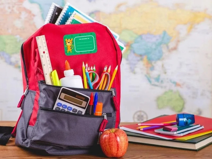 Как правильно выбрать портфель: советы врача-кинезитерапевта