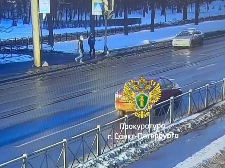 50-летнюю петербурженку осудят за смертельный наезд на пенсионера-пешехода