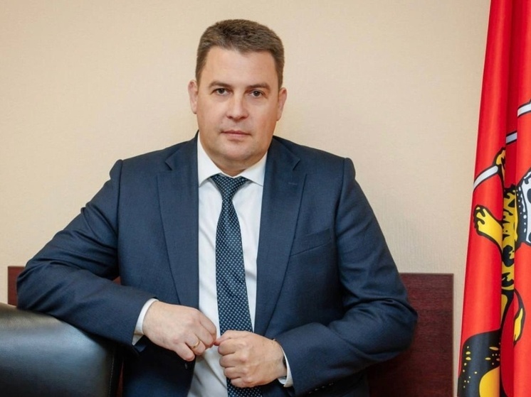 Мэр Владимира Дмитрий Наумов задержан силовиками