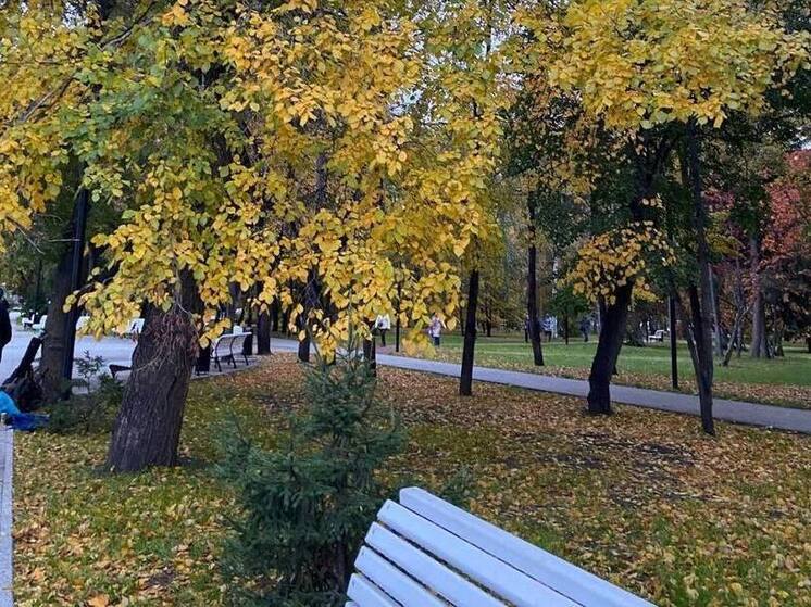 Сквер имени Александра Демакова в Новосибирске откроют осенью