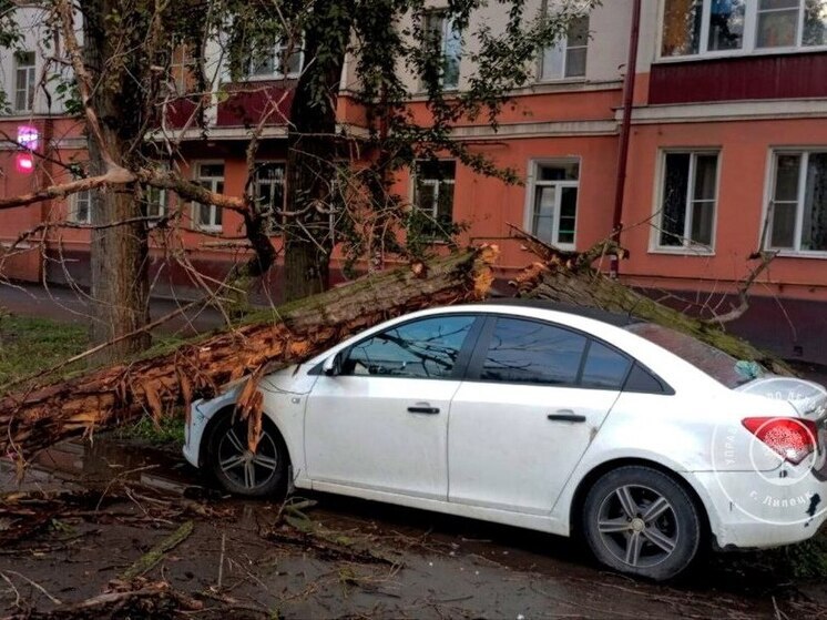 Автомобиль и линию электропередачи повредили упавшие деревья в Липецке