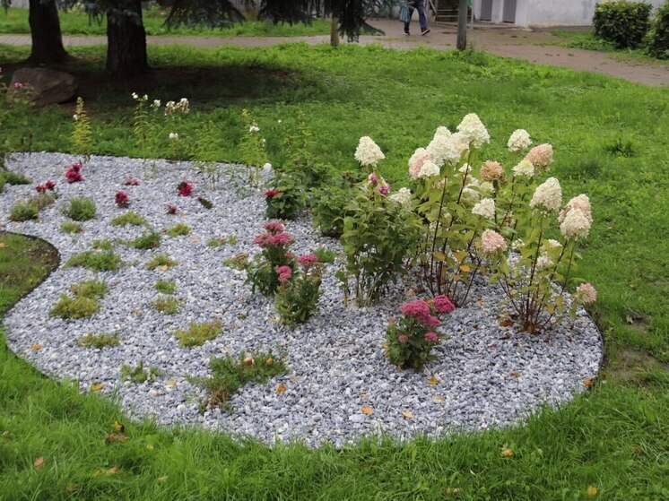 Калужские студенты делают город зеленее