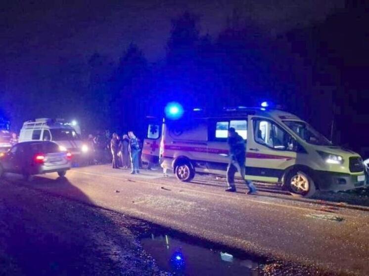 Спасатели ликвидировали последствия ДТП в Пензенской области
