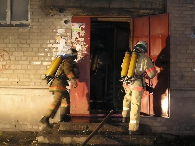 Причиной гибели ребенка при пожаре в Воронеже стало отравление угарным газом