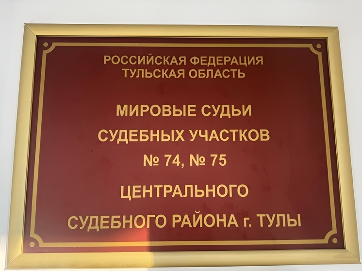 В Туле наказали водителя автобуса за инцидент с выпавшим из салона ребенком