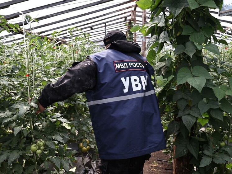 За 2 дня на Южном Урале поймали 299 нарушителей миграционных законов