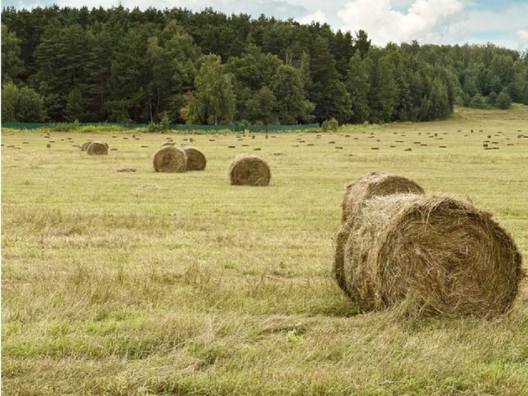 Что можно и нельзя делать 28 августа 2025 года: приметы в день Успения Пресвятой Богородицы