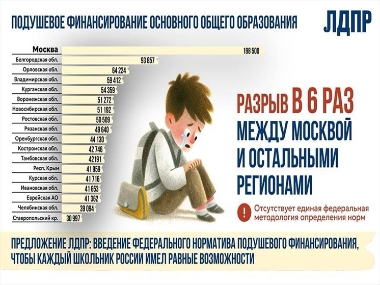 Два мира, два детства: ЛДПР заявила о четырёхкратном разрыве в финансировании школ Ростова-на-Дону и Москвы