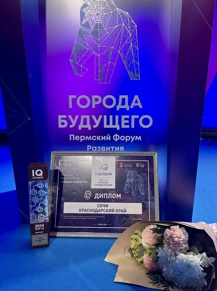 Сочи вошел в топ-10 «умных» городов России