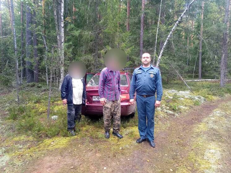 Трое мужчин потерялись в лесах Тверской области