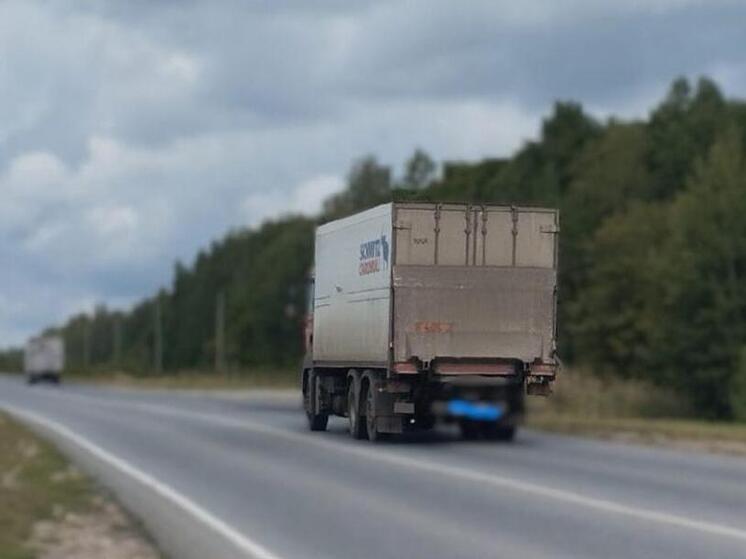 Лосёнок погиб под колёсами грузовика в Пронском районе Рязанской области
