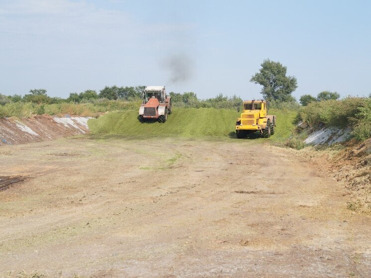 Ежедневные дожди не дают хакасским аграриям работать