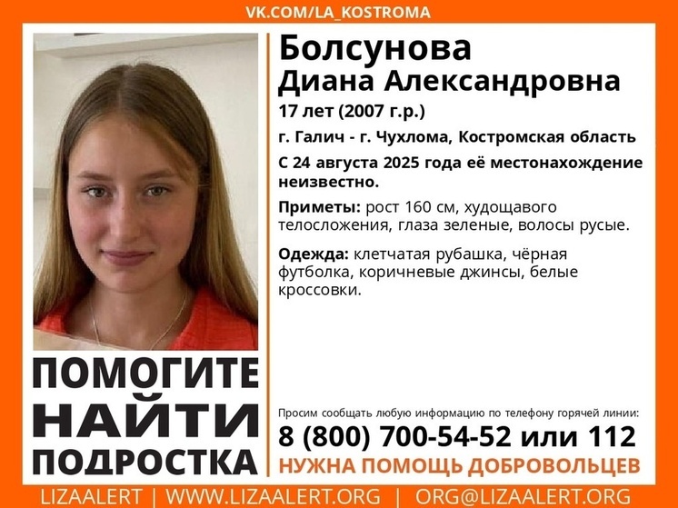 В Костромской области открыты поиски пропавшей 3 дня назад девушки