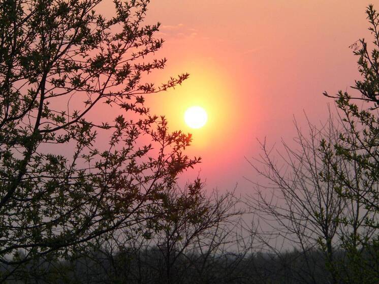 ИКИ РАН: на Солнце произошла аномалия с сотней новых пятен без вспышек