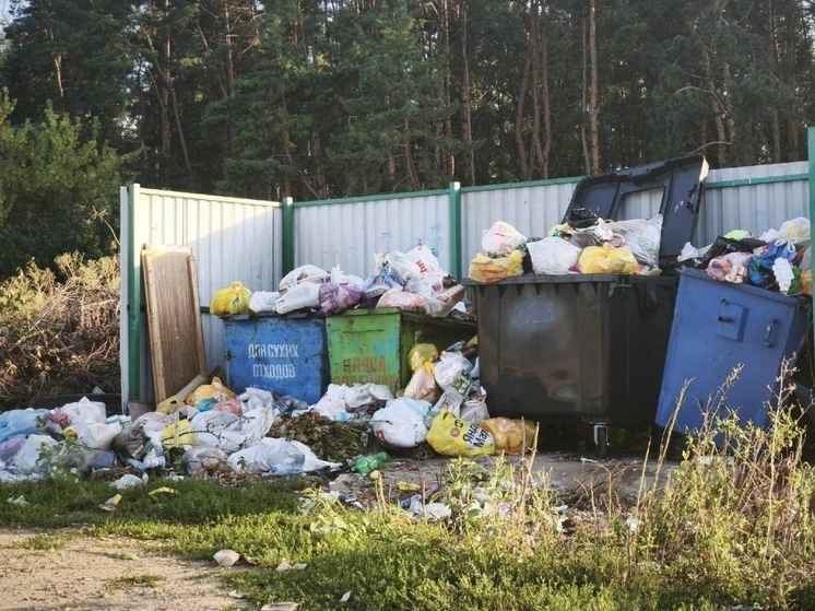 В Орле в мкр Лужки на улице Степной больше месяца не вывозят мусор